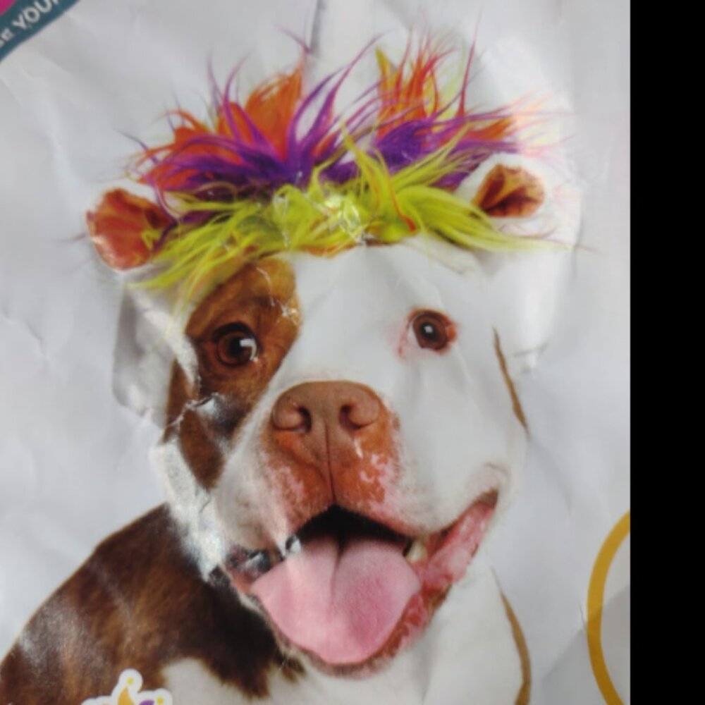 Pet Krewe Dog or Pig Magical Unicorn Halloween Costume Fits Neck size 13-32”(S1)